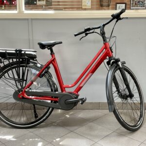 Stella Vicenza Bosch