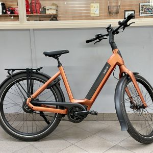 Dutch ID Shadow S75 TR Belt Demo